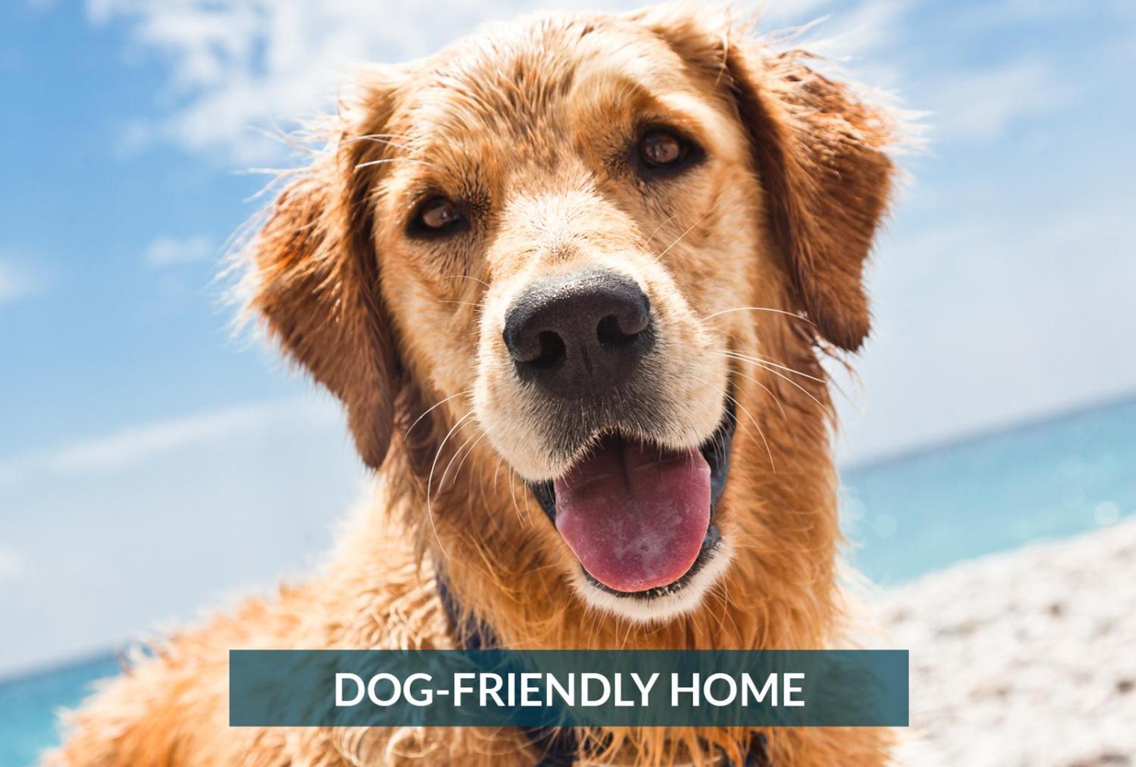5508 Southern Comfort Dog Friendly Shared Pool คิลเดวิลฮิลส์ ภายนอก รูปภาพ